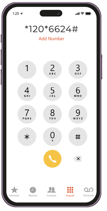 amberPage_BusinessSolutions_Image PMT Amber USSD shortcode