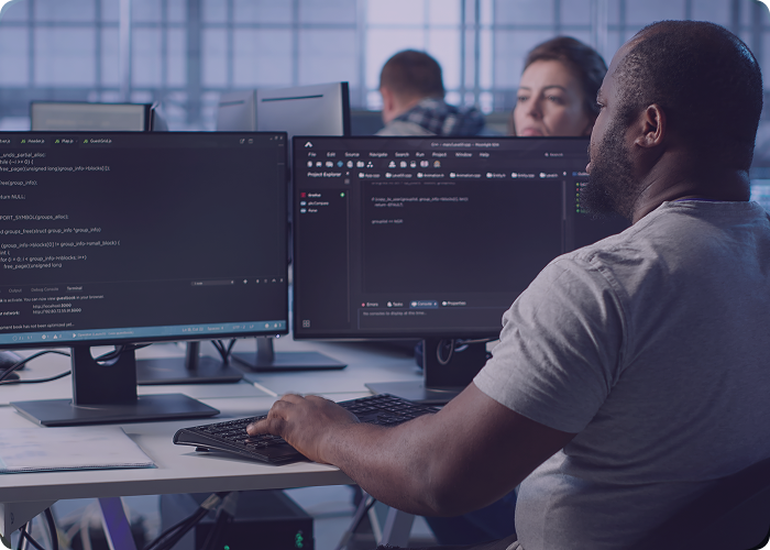 softwareDevelopmentPage_Bespoke Development_Image